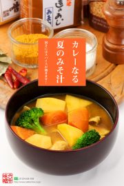 カレーなる夏のみそ汁　2010夏-S.jpg