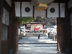 松尾大社110110卯　大絵馬－Ｓ②.JPG