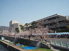 桜まつり全景20100403-S.jpg