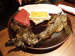 瀬戸内五人衆20110514-1.jpg