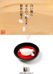 白い肌にほんのり紅さす初春の菓子2011正月-S.jpg
