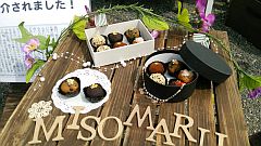 第10回ロハスデザイン大賞2015新宿御苑展20150520②-S.jpg