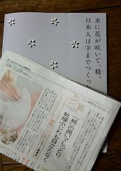 糀 20161028大野.jpg