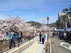 芦屋さくら祭り20150404②-S.jpg