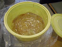 芦屋神社　味噌作りの味噌20140515-S.jpg