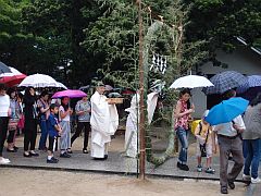 芦屋神社「水無月の大祓い」20150630⑪-S.jpg
